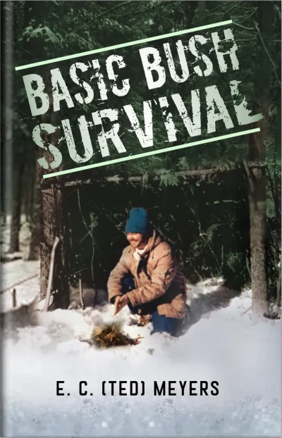 Basic Brush book cover